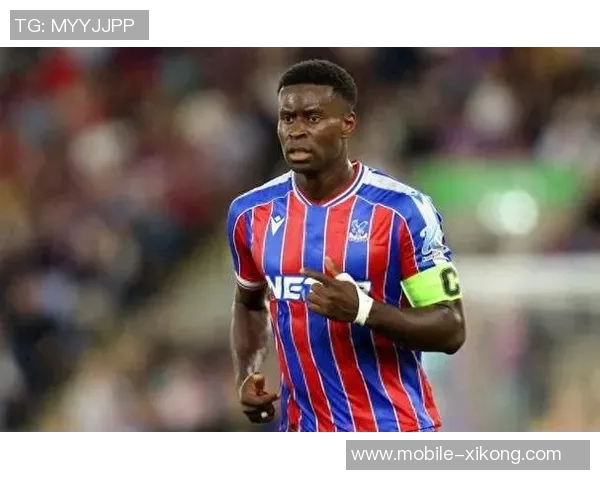 曼城计划明夏重塑防线水晶宫中卫格伊成为首选目标 曼城计划明夏重塑防线水晶宫中卫格伊成为首选目标